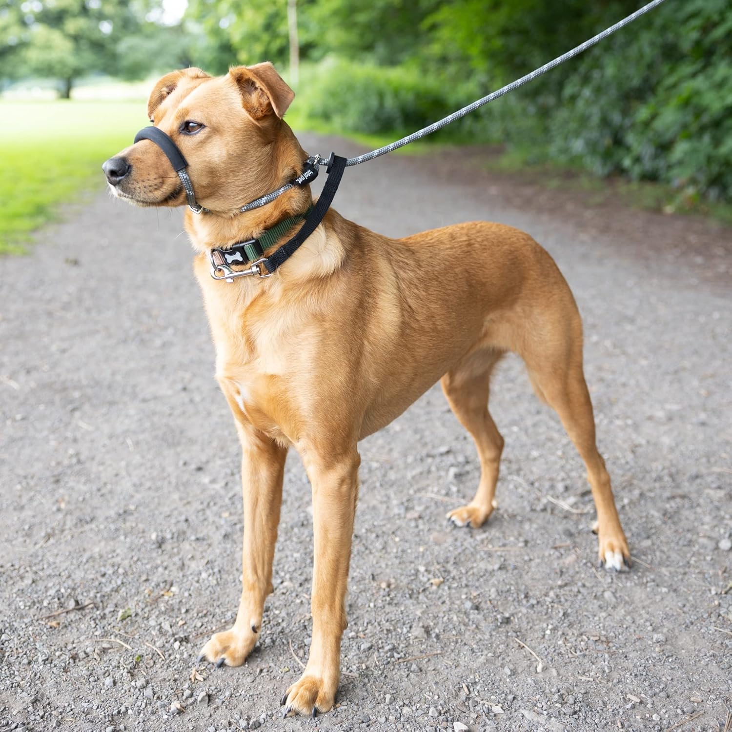 Figure of 8 Dog Lead - Anti Pull Stop Dogs Pulling - Rope Slip Leads with Padded Nose Support (Small/Medium)
