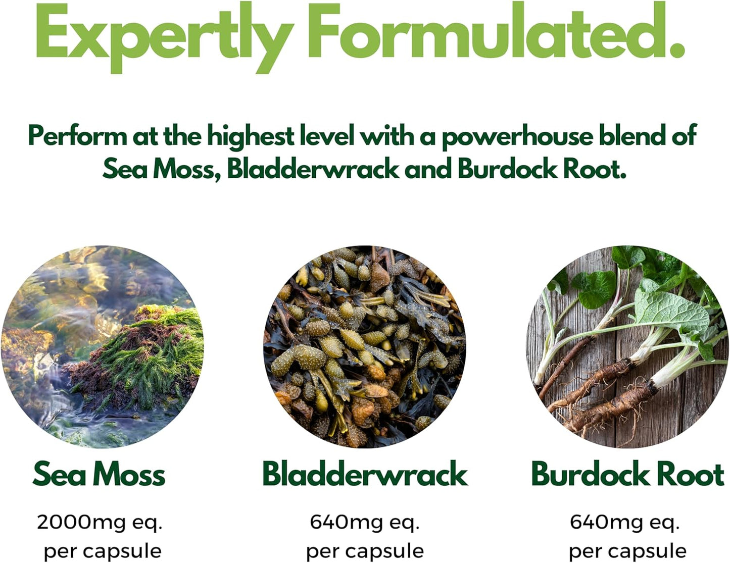Sea Moss Capsules, Bladderwrack and Burdock Root - 3280mg per Serving - One a Day High Strength - Easy to Swallow - Natural Source of Iodine - Chondrus Crispus - 60 Vegan Capsules