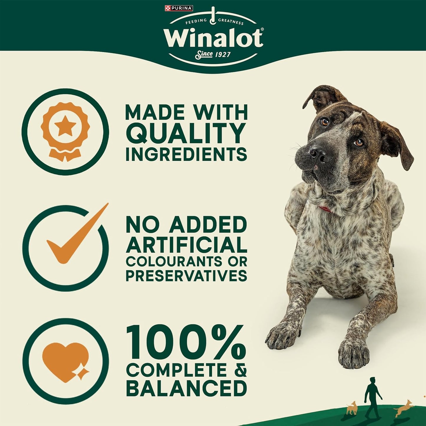 Winalot Dog Food Mixed in Gravy, 40 x 100g (Packaging may vary)