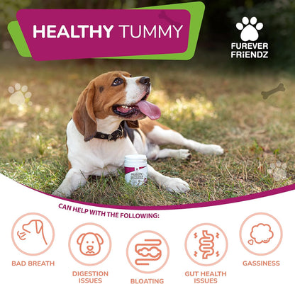 Dog Probiotic Powder – Bacon Flavour Probiotic for Dogs – Dog Digestive Supplements w/No Gluten or Dairy – Mix-In Powdered Probiotics for Dogs Powder by Furever Friendz