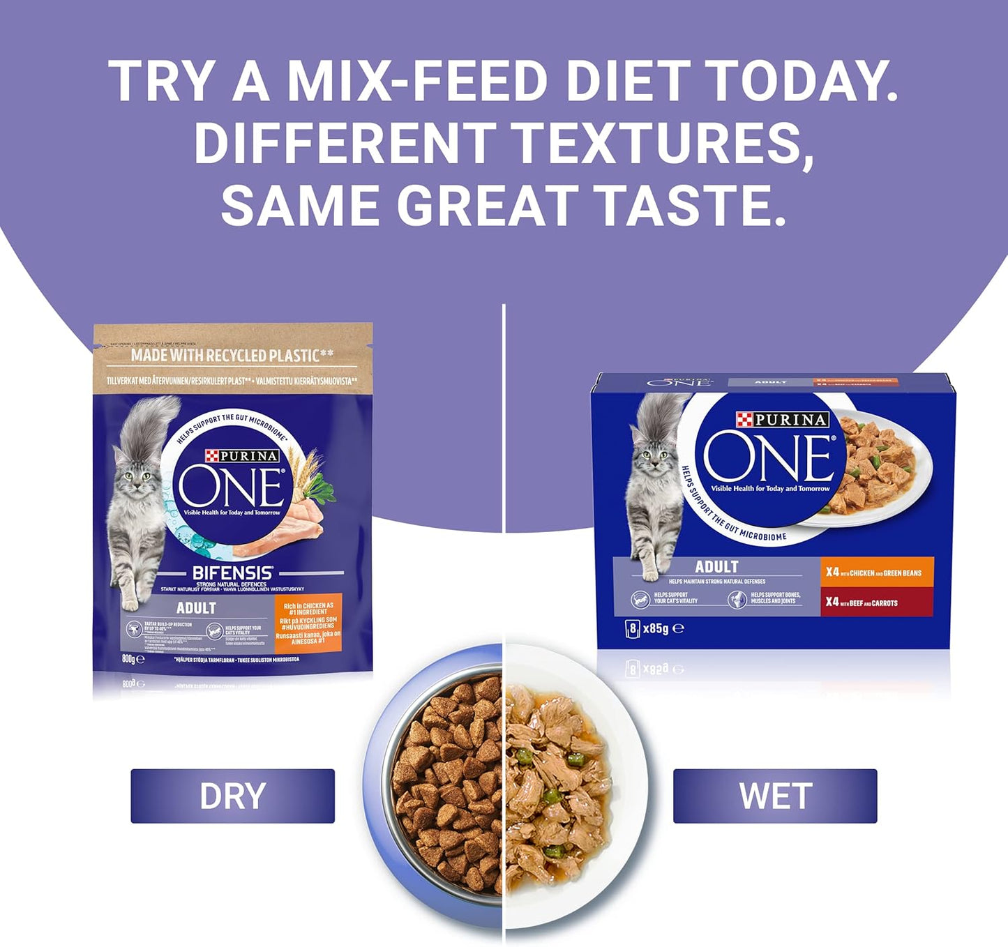 PURINA ONE Mini Fillets Mixed Selection in Gravy Wet Cat Food 40x85g