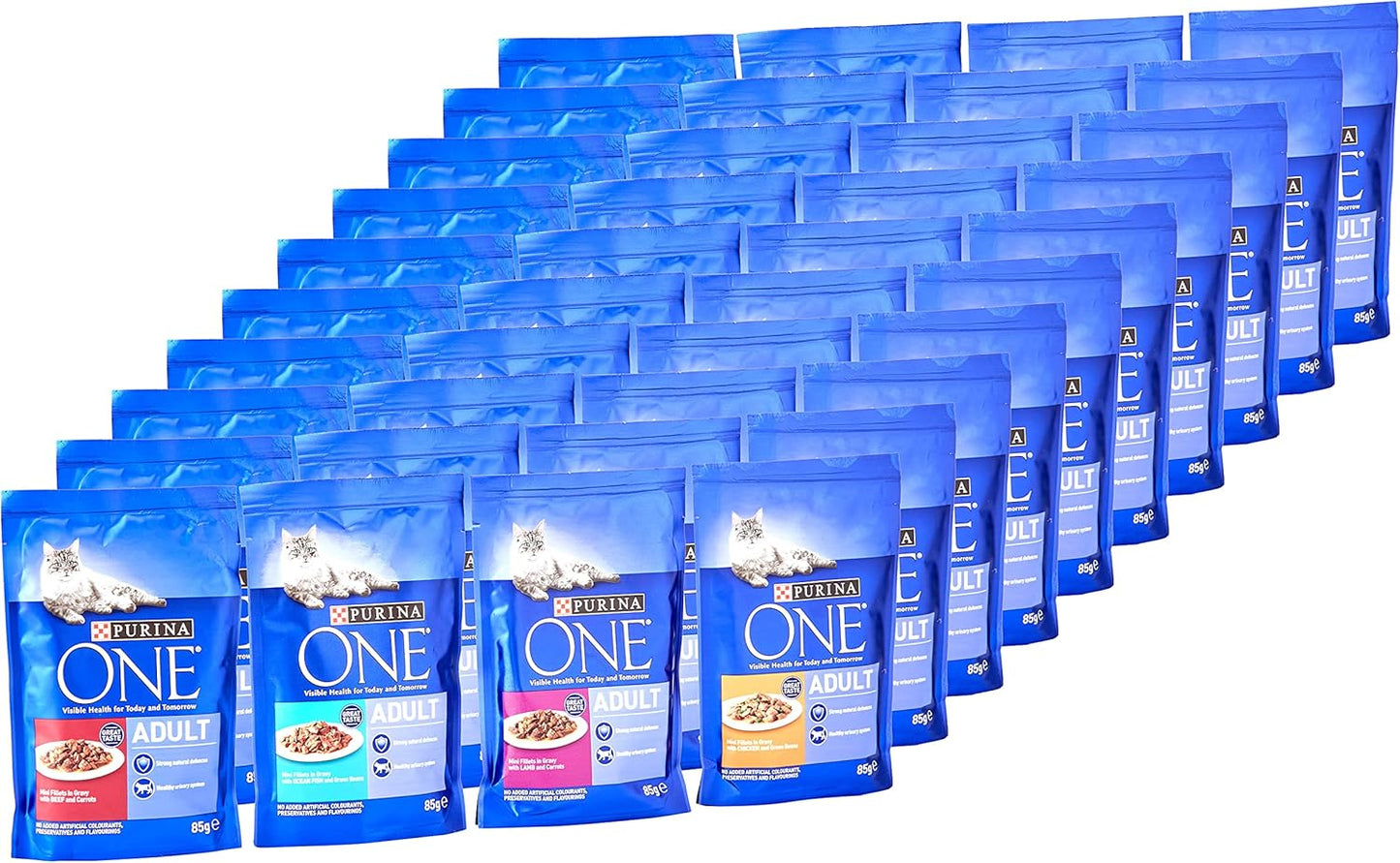 PURINA ONE Mini Fillets Mixed Selection in Gravy Wet Cat Food 40x85g
