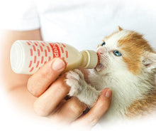 Beaphar | Lactol Kitten Milk | Milk Replacer | Complete Feed for Newborn & Weaning Kittens | DHA & Taurine | Suitable for Hand Rearing | For Kittens from Birth | 250g