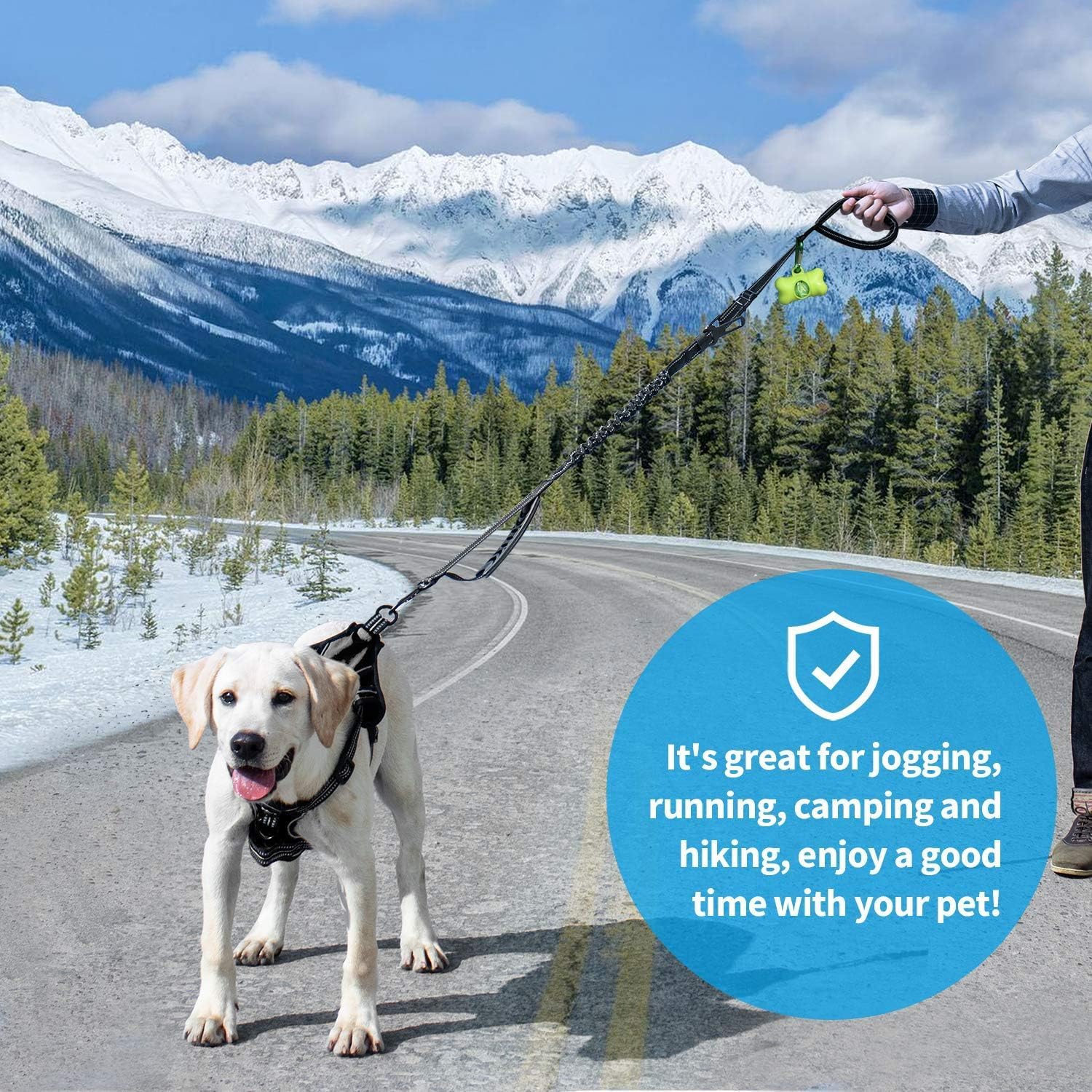 IOKHEIRA Bungee Dog Leash, Anti Pull Dog Leads with Car Seat Belt Buckle, Reflective Thread Dog Leads with Traffic Control Handle, Adjustable Dog Leash for Small Medium Large Dogs