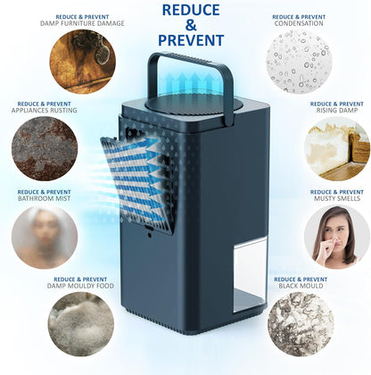 NETTA Dehumidifiers for Home Damp 1400ml Dehumidifier with Ultra Quiet & Auto Shut off 3 Colorful LED, 24Hr Timer Portable Mini Dehumidifier for Wardrobe Bathroom Closet - Black