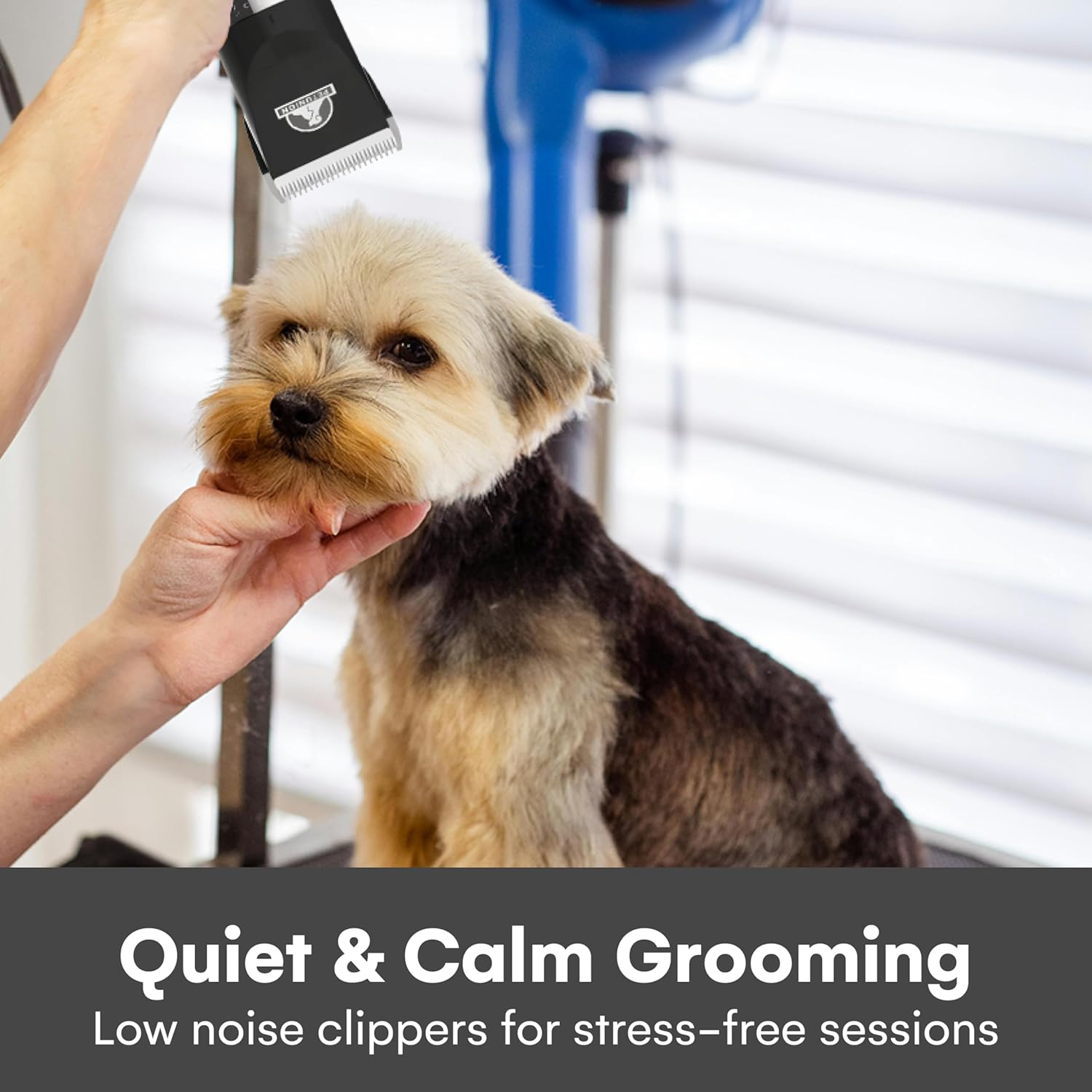 Pet Union Professional Dog Grooming Kit - Rechargeable, Cordless Pet Grooming Clippers & Dog Grooming Accessories, Low Noise & Suitable Dog Clippers, Cat Clippers and for Other Pets (Black)