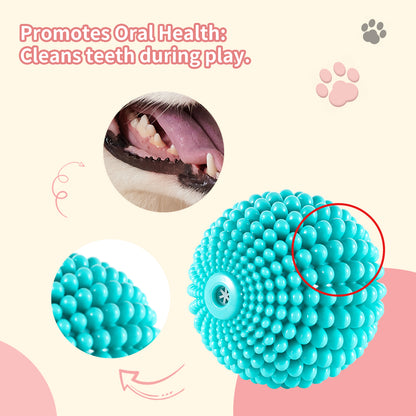 TUGME Sugar Squeaky Dog Toys Aggressive Chew Large Medium Dogs  Unbreakable Tough