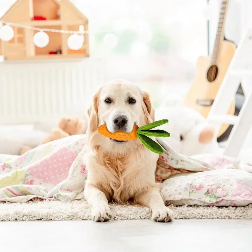 TUGME Carrot Dog Chew Toys Durable Rubber Squeaky Toy Shaped Dog Toys For Dogs Boredom Chewers Toothbrush Toy Supplies