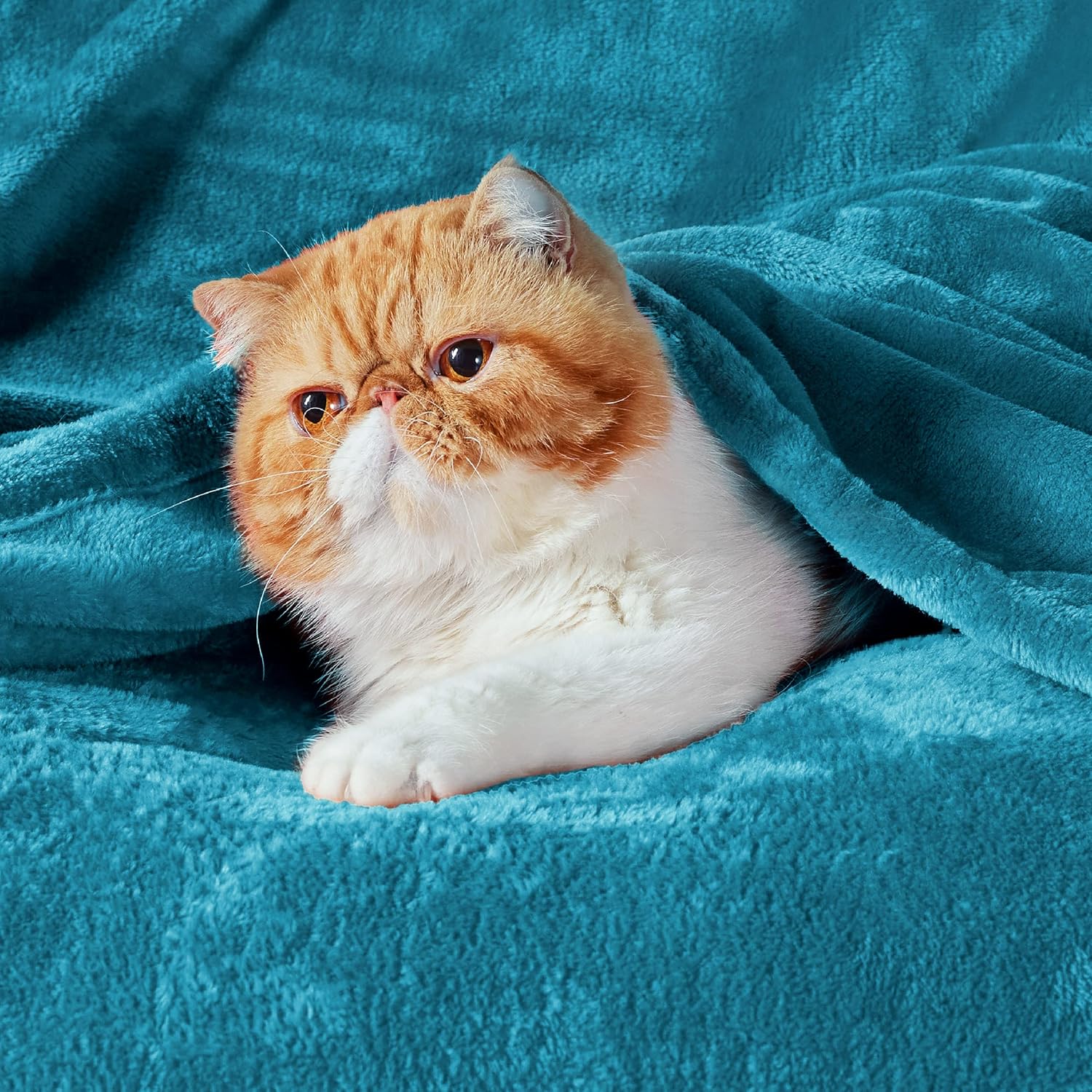 Bedsure Fleece Blanket for Bed - Soft Cosy Fluffy Throw Blankets, Warm Large Throws for Audlts, Teal, 220x240 cm