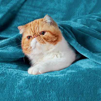 Bedsure Fleece Blanket for Bed - Soft Cosy Fluffy Throw Blankets, Warm Large Throws for Audlts, Teal, 220x240 cm