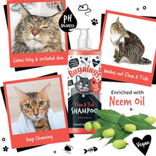 Flea and Tick Cat Shampoo by Bugalugs 500ml, Deep Cleansing for Cats for Fleas, Ticks & Mites contains Neem Oil, PH Balanced Vegan (500ml Flea Shampoo)