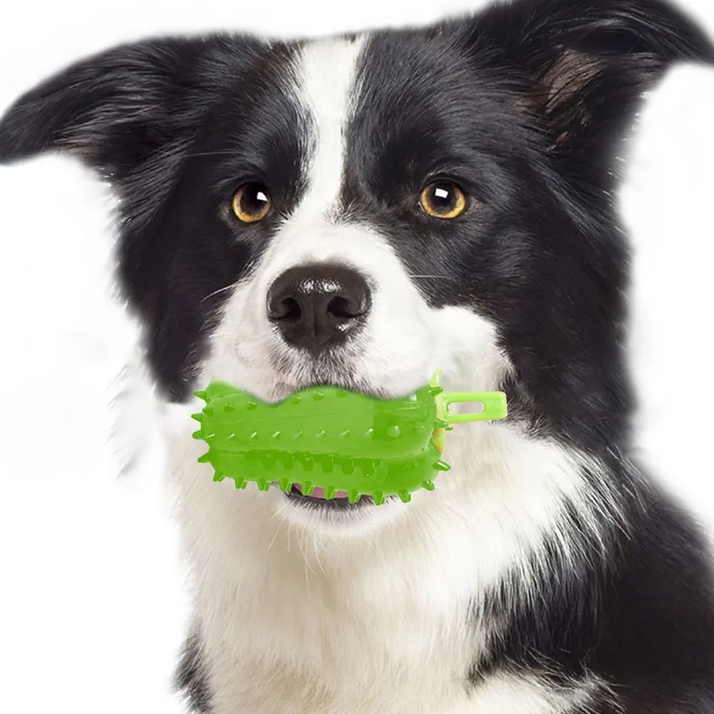 TUGME Interactive Dog Teething Chili Chewers Toy Interactive Toys Dog Toys