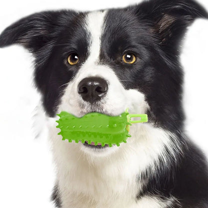 TUGME Interactive Dog Teething Chili Chewers Toy Interactive Toys Dog Toys