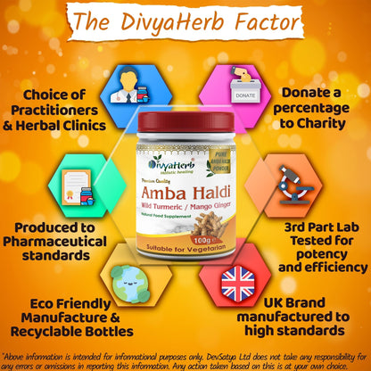 DivyaHerb Amba Haldi Powder 100 gram - Daily Wellness Support