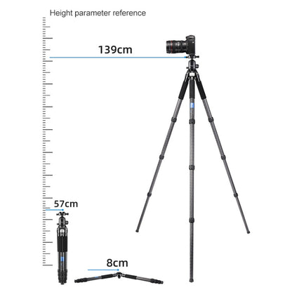 BEXIN RC294 Portable Collapsible Carbon Fiber Camera Tripod with K44 Panoramic BallHead, RC294+K44