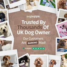 Pre & Probiotic Treats