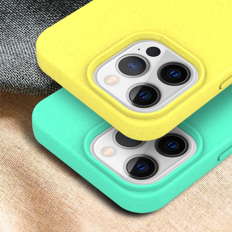 Starry Series Shockproof Straw Material + TPU Protective Case, For iPhone 13 Pro, For iPhone 13, For iPhone 13 mini