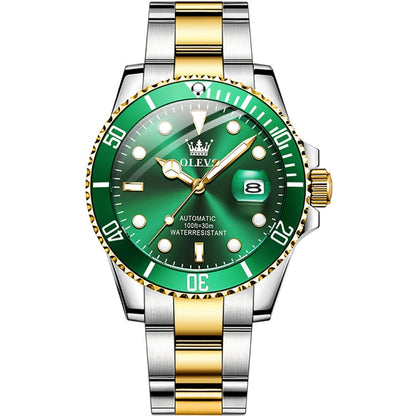 OLEVS 6650 Men Luminous Waterproof Mechanical Watch