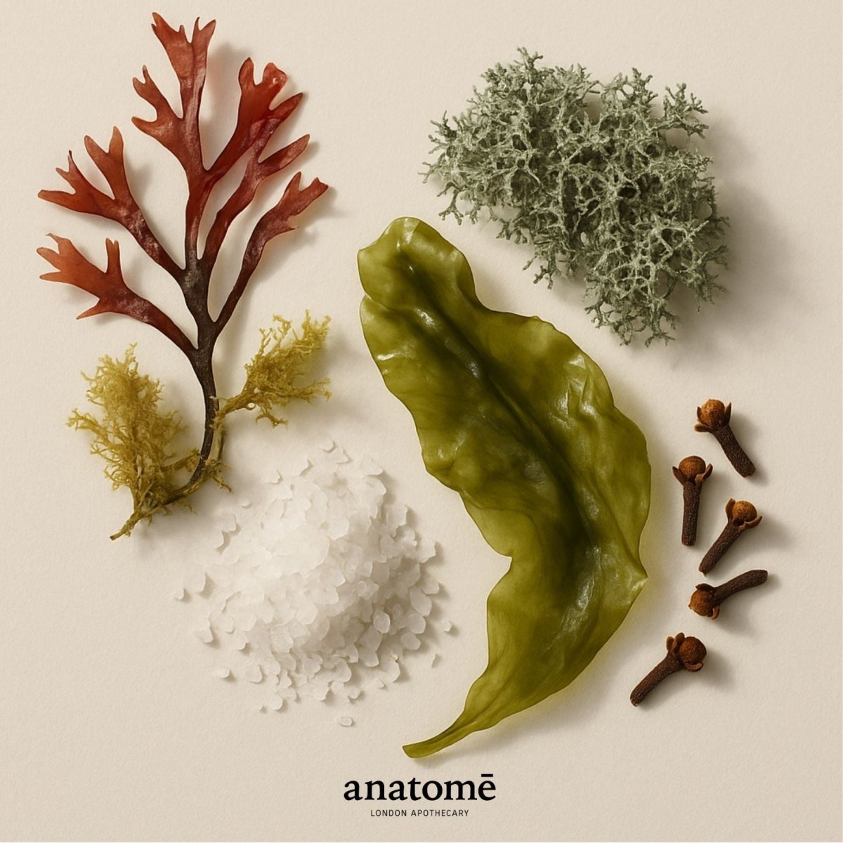 Expression Functional Parfum