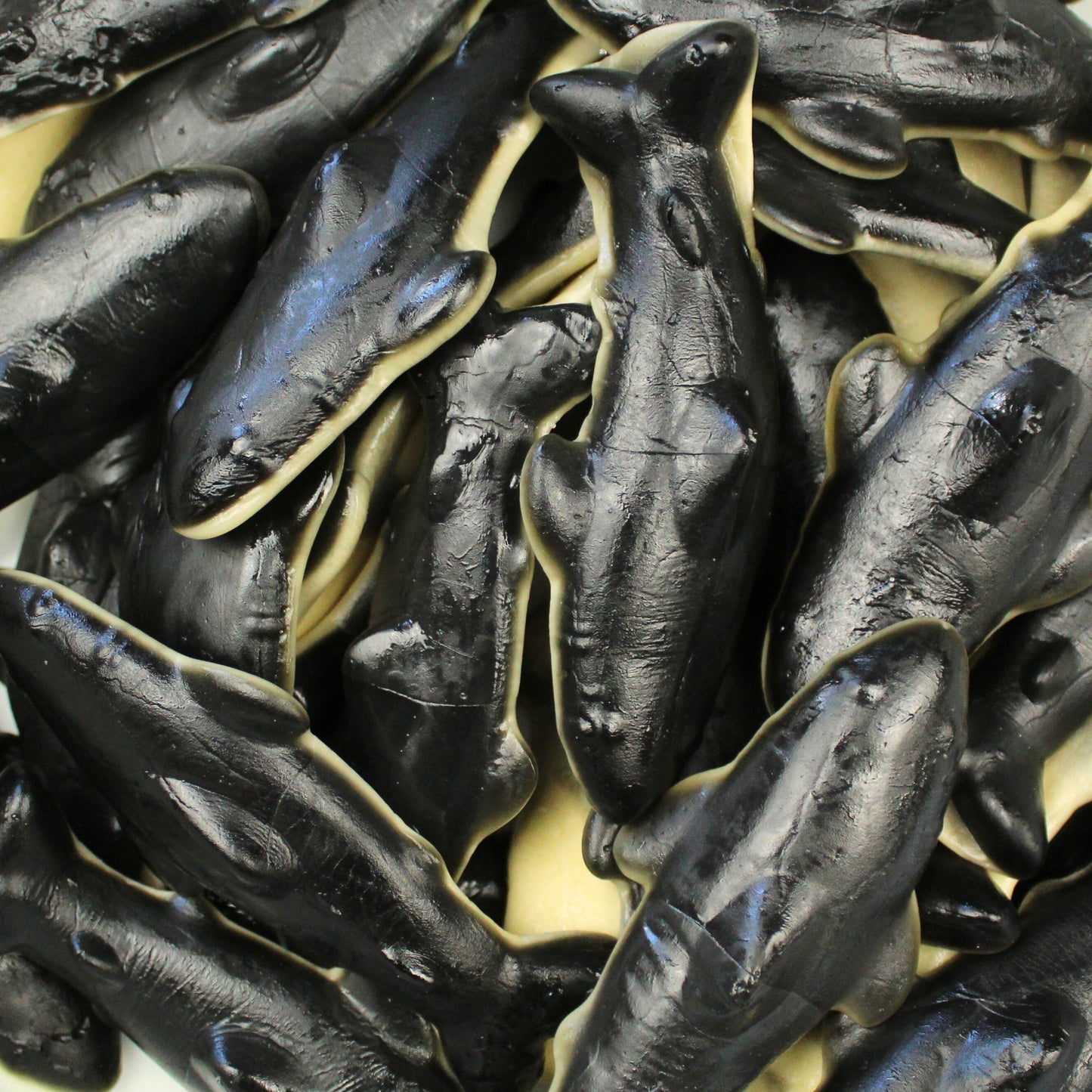 Giant Jelly Orcas