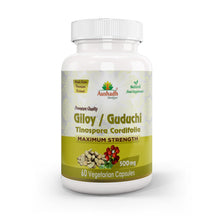 Giloy Guduchi Capsule (Tinospora Cordifolia)