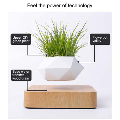 Diamond Plastic Flower Pot + Dark Wood Grain Base Magnetic Levitation Potted Plant Home Decoration, US Plug, Dark Wood Grain US Plug, Light Wood Grain US Plug