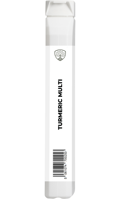 Turmeric Multi | With Vitamin B6, Zinc & Botanicals – 90 Capsules