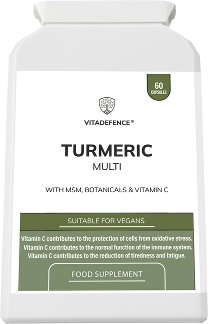 Turmeric Multi | With Vitamin B6, Zinc & Botanicals – 90 Capsules