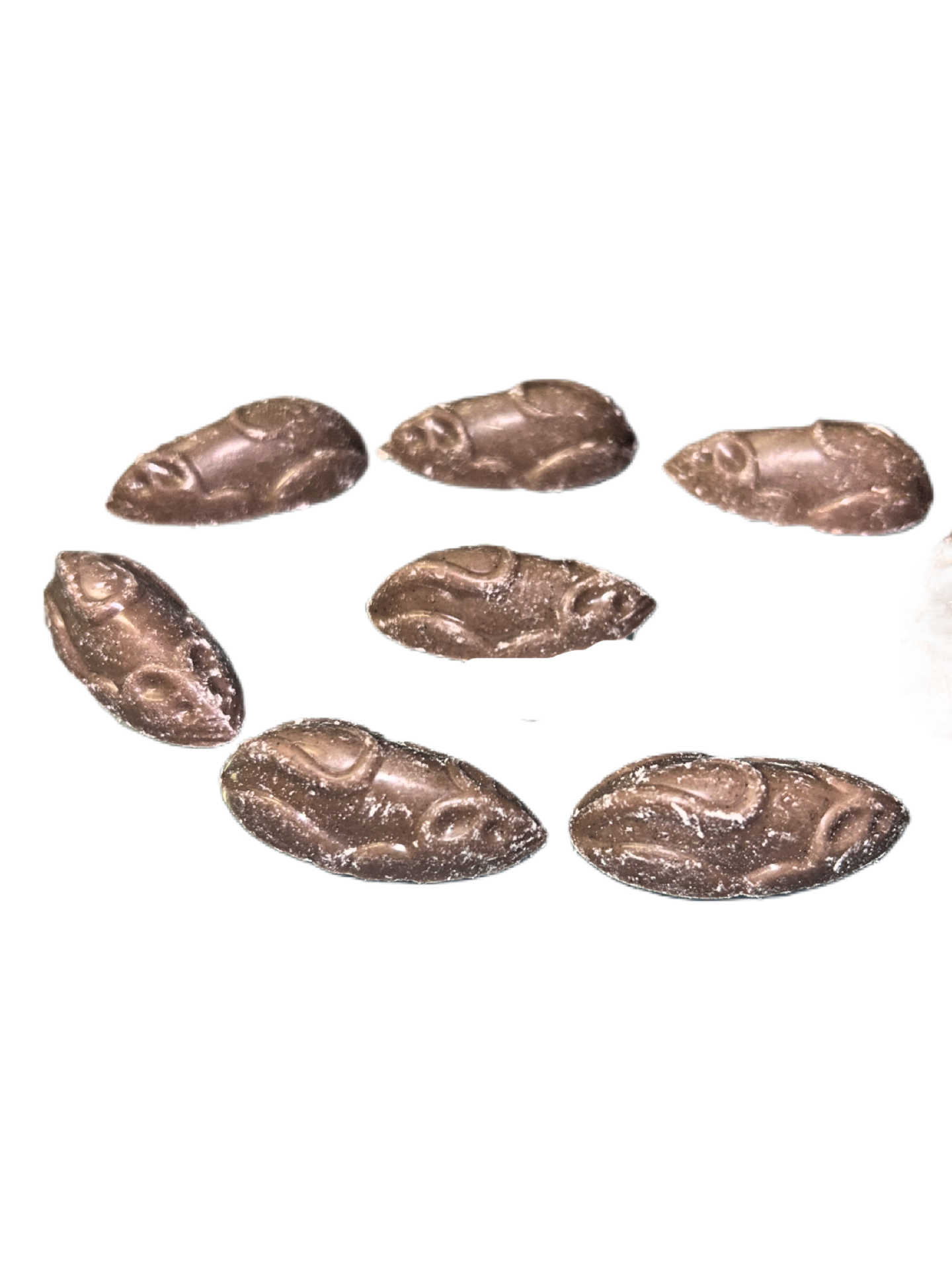 Chocolate flavour mice