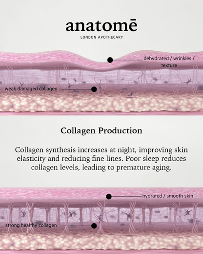 Illuminating Rose-hip, Grape Seed & Avocado Face Oil