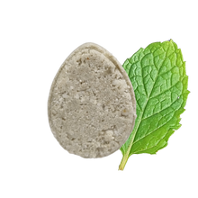 Mint ECO Shampoo bar - Non Soap based hair wash