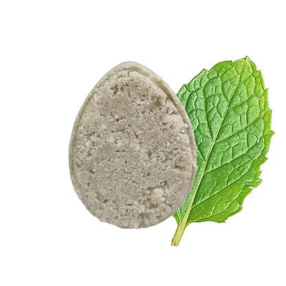 Mint ECO Shampoo bar - Non Soap based hair wash