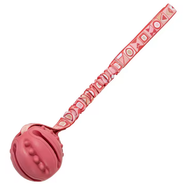 Interactive Dog Toy Natural Rubber Ball Textured Teeth Cleaning Elastic Bungee Strap Bonding With Owner for All Breeds