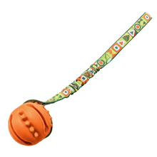 Interactive Dog Toy Natural Rubber Ball Textured Teeth Cleaning Elastic Bungee Strap Bonding With Owner for All Breeds