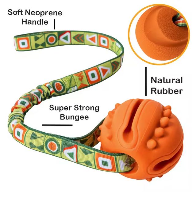 Interactive Dog Toy Natural Rubber Ball Textured Teeth Cleaning Elastic Bungee Strap Bonding With Owner for All Breeds