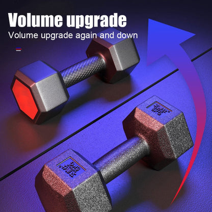 10KG  Household Glue Fitness Hexagon Dumbbells, 10KG