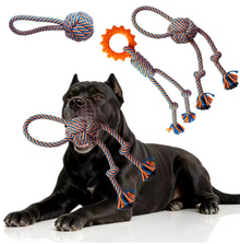 New Interactive Cotton Dog Toy Custom Plush Chewers Natural Cleaning Teeth Rope Knot Toy Kit Training Chewing Set for Dogs