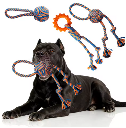 New Interactive Cotton Dog Toy Custom Plush Chewers Natural Cleaning Teeth Rope Knot Toy Kit Training Chewing Set for Dogs