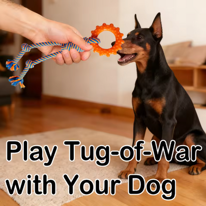 Eco-Friendly 5-Pack Handmade Durable Cotton Rope & TPR Dog Chew Toy Set Tug-of-War Toys for Teething Relief & Training
