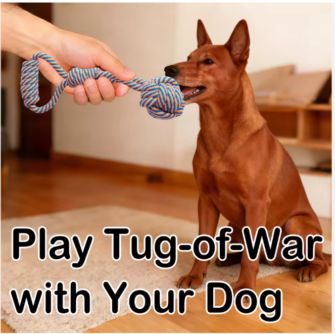 Handmade Indestructible Cotton Rope & TPR Dog Chew Toys Set Dog Rope Toys for Aggressive Chewers for Medium Large Breed