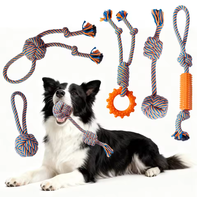 Indestructible Eco-Friendly 5-piece Dog Plush Toy for Aggressive Chewers Squeaky Chew Rope Toy for Small Medium Large Dogs