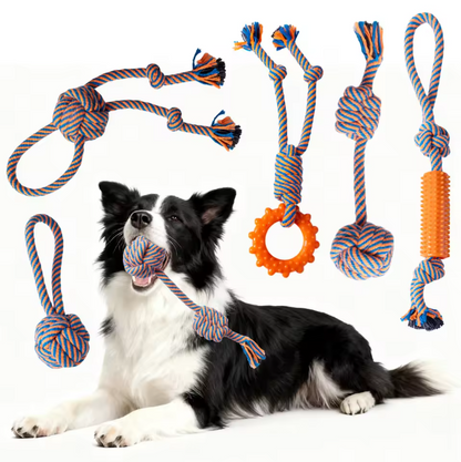 Indestructible Eco-Friendly 5-piece Dog Plush Toy for Aggressive Chewers Squeaky Chew Rope Toy for Small Medium Large Dogs