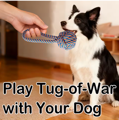 Indestructible Eco-Friendly 5-piece Dog Plush Toy for Aggressive Chewers Squeaky Chew Rope Toy for Small Medium Large Dogs