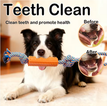 Indestructible Eco-Friendly 5-piece Dog Plush Toy for Aggressive Chewers Squeaky Chew Rope Toy for Small Medium Large Dogs