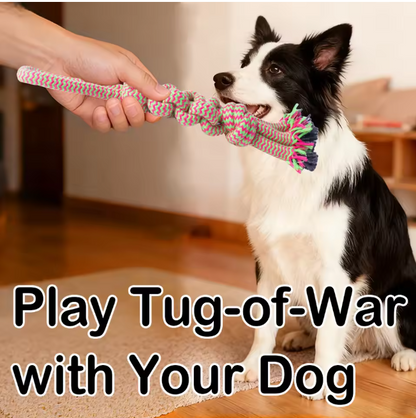 Heavy-Duty Indestructible Durable Eco-Friendly Teeth Grinding Cleaning Chew Toy for Tug Play & Dental Care