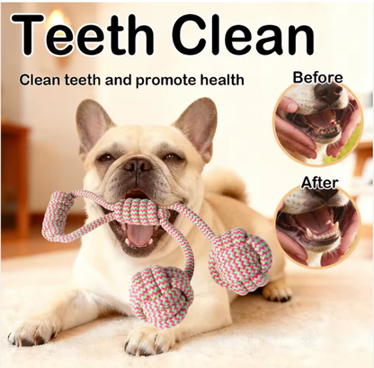 Eco-Friendly Durable Vibrant Pink & Green Braided Dog Rope Chew Toy for Tug Play & Dental Care Perfect Gift for Dog Lovers