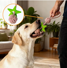 Manufacturer Rope & TPR Star Dog Chew Knot Toy Durable for Aggressive Chewers, Ideal for Medium/Large Dogs