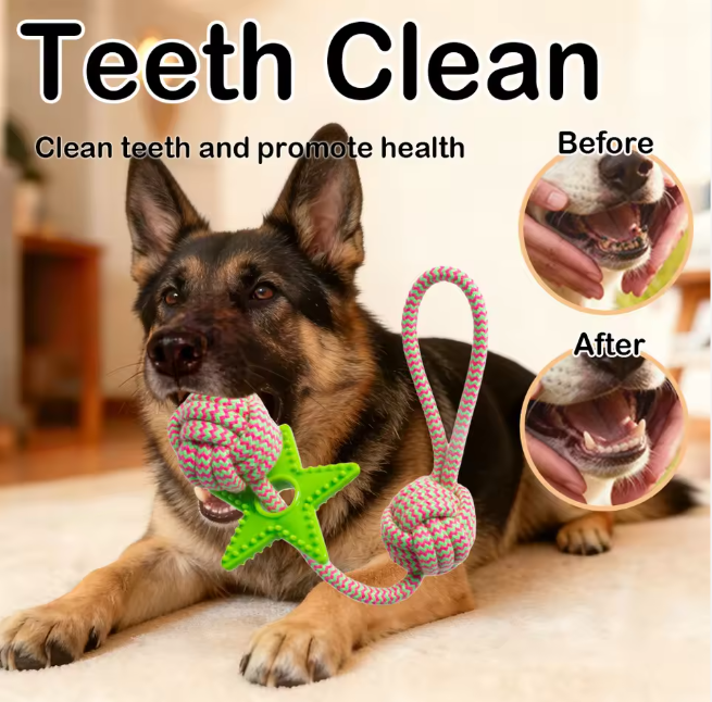 Manufacturer Rope & TPR Star Dog Chew Knot Toy Durable for Aggressive Chewers, Ideal for Medium/Large Dogs