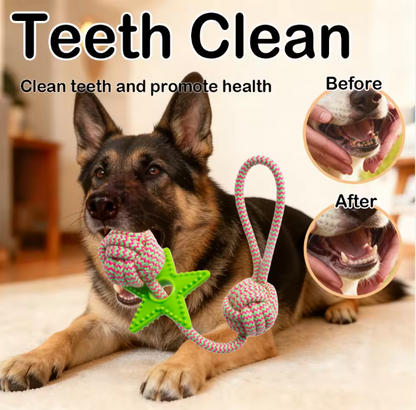 Manufacturer Rope & TPR Star Dog Chew Knot Toy Durable for Aggressive Chewers, Ideal for Medium/Large Dogs