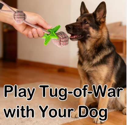 Manufacturer Rope & TPR Star Dog Chew Knot Toy Durable for Aggressive Chewers, Ideal for Medium/Large Dogs